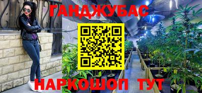 гидра Балахна