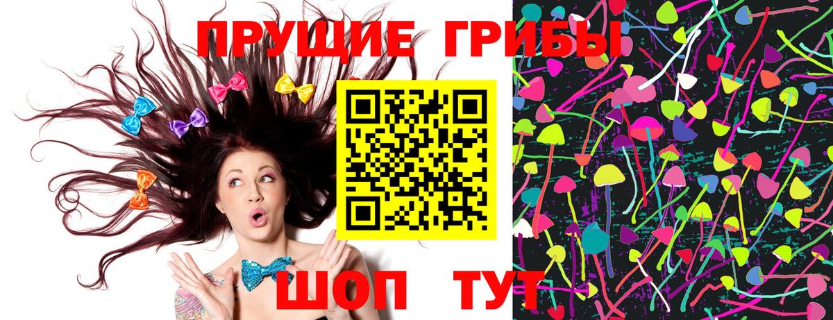 купить закладку  Вход с VPN  Гай  Галлюциногенные грибы Psilocybe 