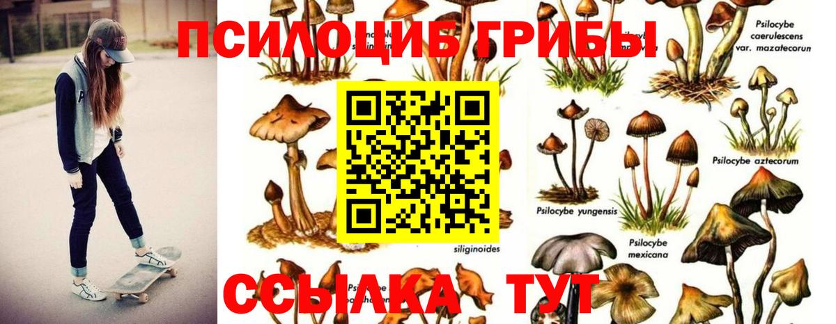 Галлюциногенные грибы мухоморы Гай